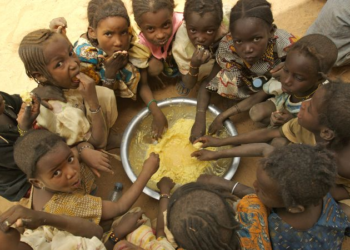 The Food Crisis To Kill More Humans Than Covid : Senegalese minister