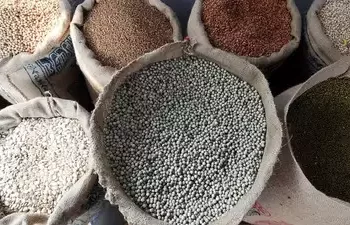 Indian Government To Extend Free Food Program By Three Months