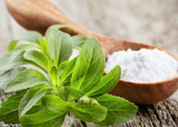 Stevia advancements, according to Research, will accelerate Sustainability