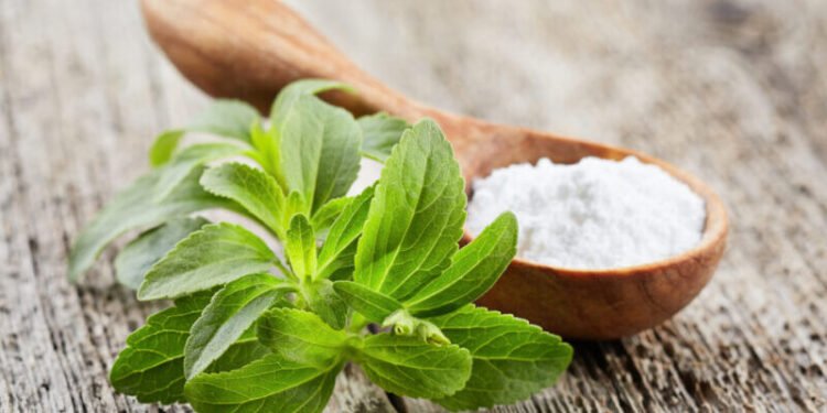 Stevia advancements, according to Research, will accelerate Sustainability