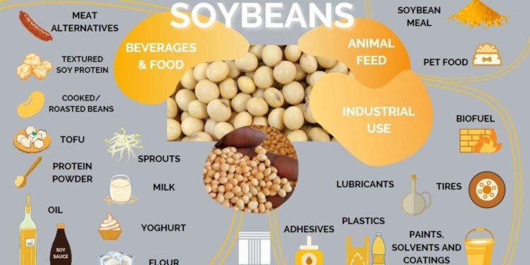 Why are Whole Soya Bean Drinks so popular in Asia?