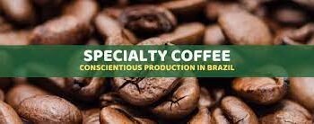 Coffee plantations in Brazil focus on Sustainability