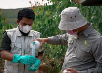 AgTech Pandawa Agri To Accelerate Sustainable Agriculture in Indonesia