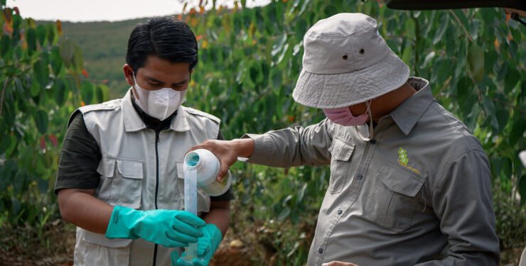 AgTech Pandawa Agri To Accelerate Sustainable Agriculture in Indonesia