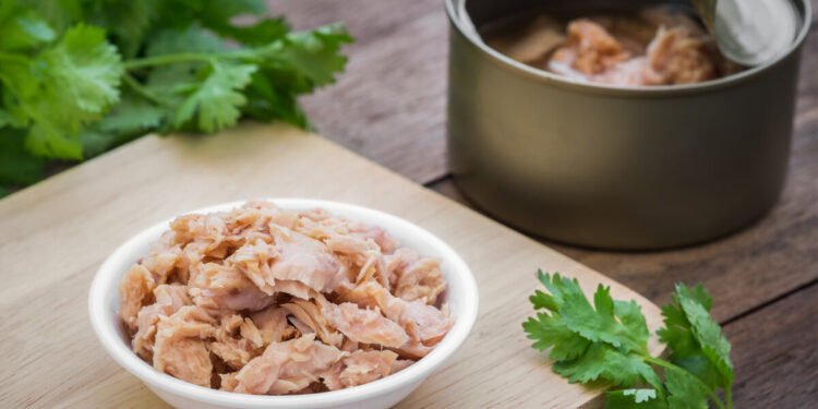Food Tech Startup Vgarden Launches Canned Tuna Alternative