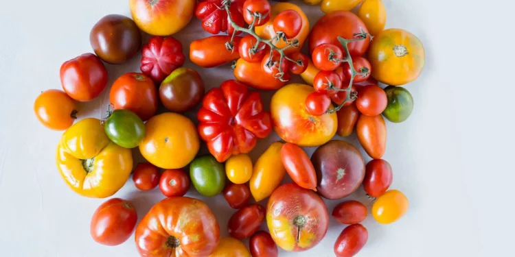 Future Food-Tech, Kraft Heinz Launch ‘Innovation Challenge On Tomatoes