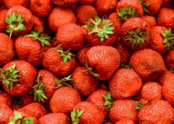 Agri-genomics firm Singrow launches first climate-resilient strawberry variety