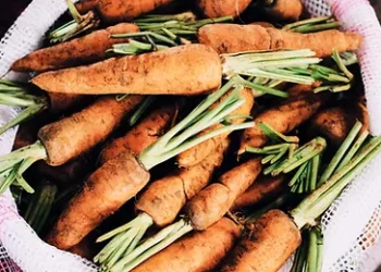 Food Enterprise Solutions Creates Opportunities for Entrepreneurs with Disabilities