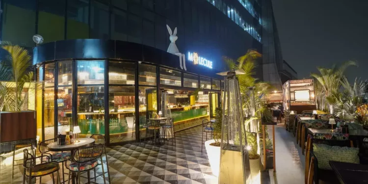 Molecule Enters Noida, Opens an Outlet at Skymark Noida