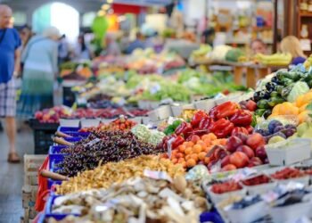 Vanguard International and RK Growers Announce Strategic Partnership