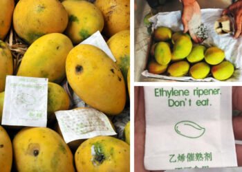 Food Regulator Warns Against Use of Prohibited Calcium Carbide for Fruit Ripening