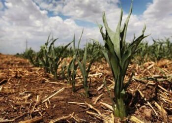 Indian Food Industry under a major threat due to alarming heat waves.