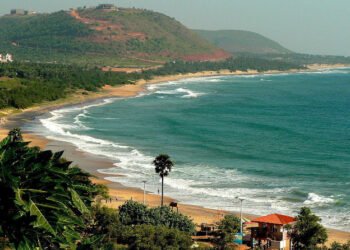 CAFAP Eases Business For Caterers In Andhra Pradesh