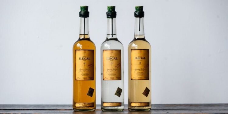 Bacardi Solidifies Premium Mezcal Position with Acquisition of Ilegal Mezcal
