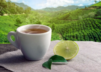 Shortage in Labour Causes Supply Issues in the Tea Industry