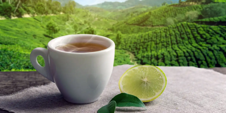 Shortage in Labour Causes Supply Issues in the Tea Industry