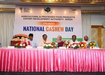 APEDA’s Initiatives Reinforce India’s Position in Global Cashew Trade