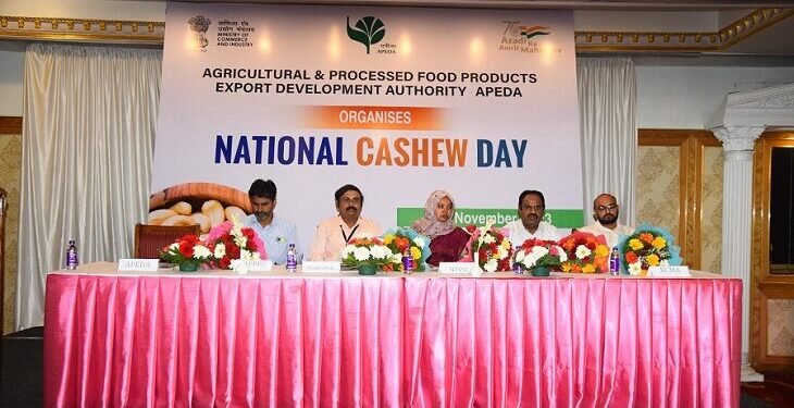 APEDA’s Initiatives Reinforce India’s Position in Global Cashew Trade