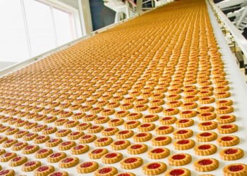 What Challenges Small Food Manufacturers Face In 2024