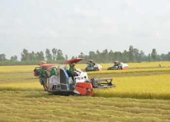 Global Food Basket in Mekong Delta