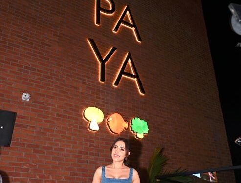 Pa Pa Ya to Redefine Taste and Style in Raipur, Bringing a Global Touch to Pan-Asian Dining