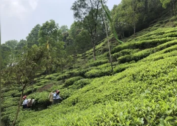 Infrastructure Boost Helping Unlock Northeast’s Tourism Potential: Report