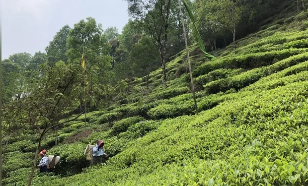 Infrastructure Boost Helping Unlock Northeast’s Tourism Potential: Report