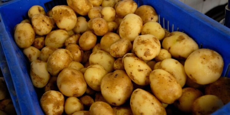 India’s Processed Potato Exports Surge as Asia’s Snack Demand Booms: GTRI
